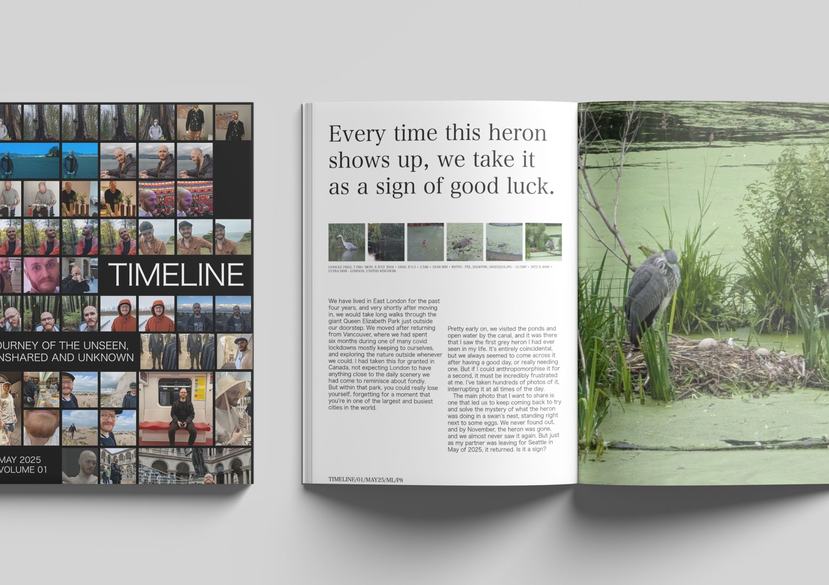 Timeline by Matt Lott, Editorial Design Participant 2025