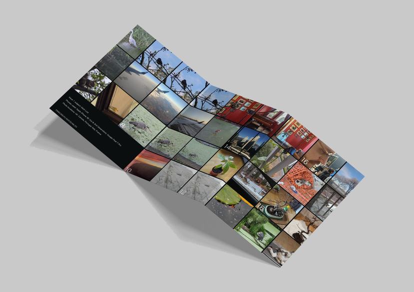 Timeline by Matt Lott, Editorial Design Participant 2025