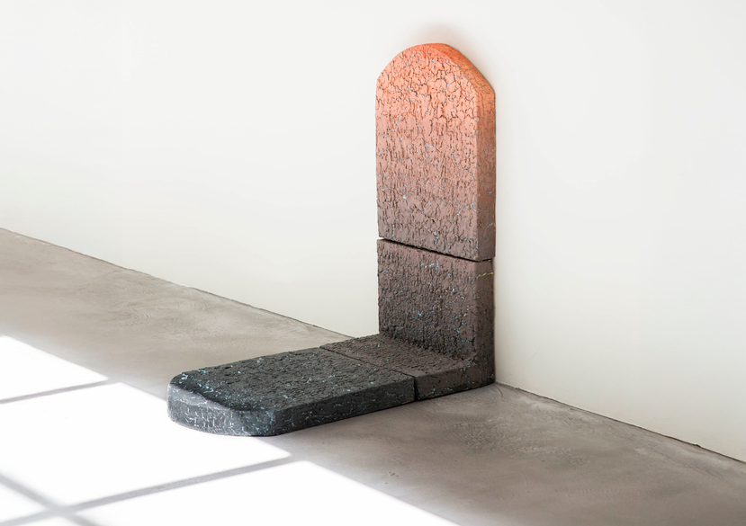 RCA 5 ENTER irina Razumovskaya