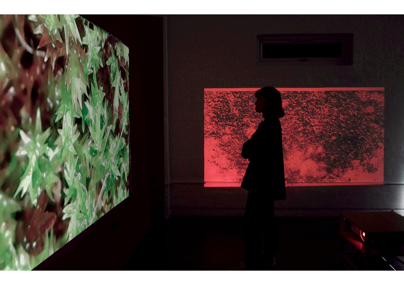 Destabilised Common Grounds, Interactive installation, Menier Gallery, 2021, YouFab Global Creative Award, Tokyo - Winning Finalist, 2021.