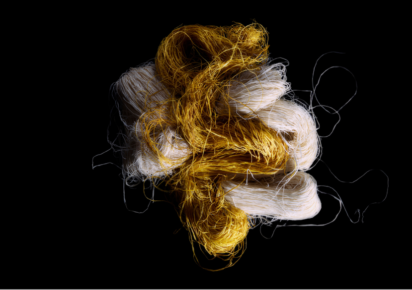 CLAUDIA ROBALINO_ CARRIERS_ Chambira fibre_