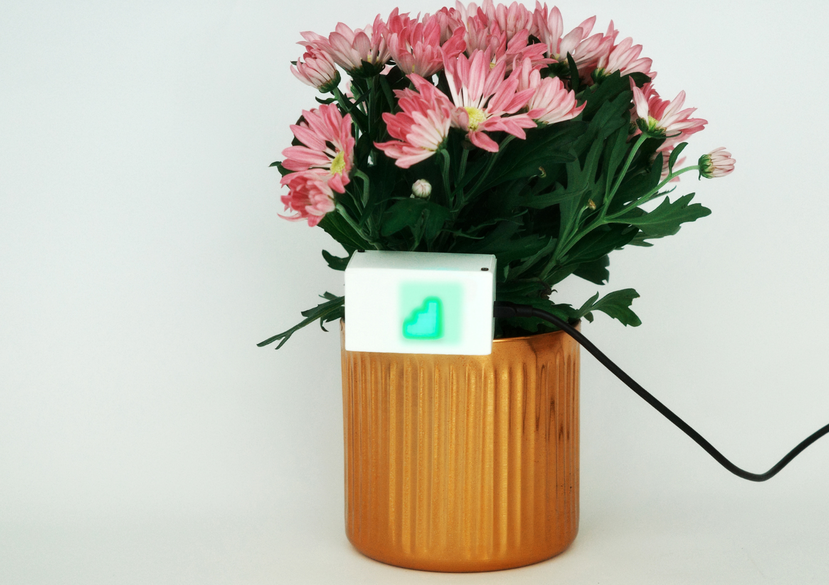 CloudPlanter, Jerry Zidong Lin.