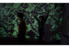 Reciprocal Stories: Moss & Moths, Holdrons Arcade, Copeland Park, 2022, London