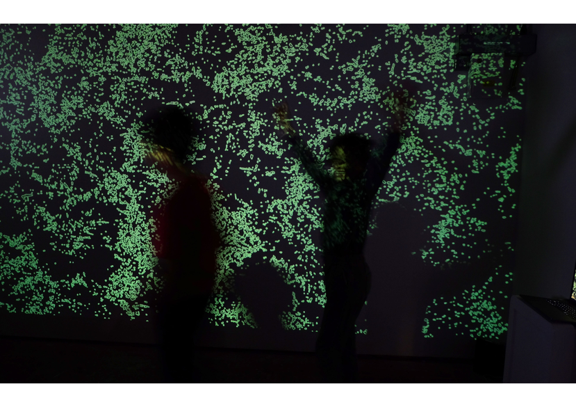 Reciprocal Stories: Moss & Moths, Holdrons Arcade, Copeland Park, 2022, London