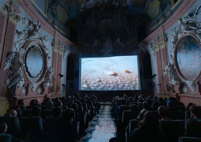 PAF Olomouc Festival, Czech Republic, A—Z-Chronicles screenings, December, 2024, Pic by Monika Drazilova