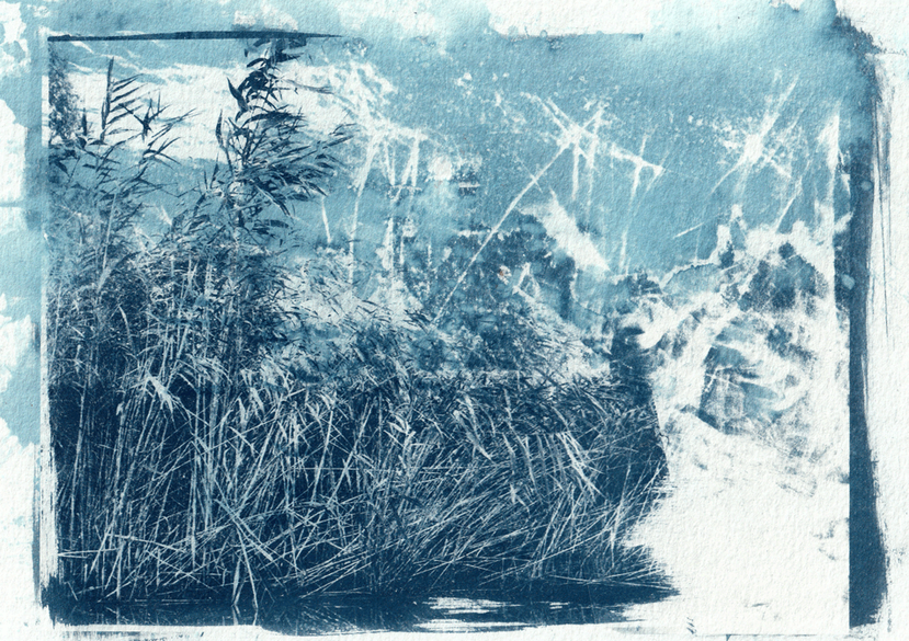 ‘Delta Imaginaries’ Cyanotype print with Danube and Black Sea water – Sulina, Romania, 2024