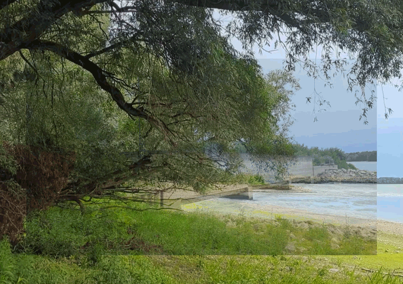 ‘Can Fish Sweat?’ Still from video installation – Paks, Hungary, 2022