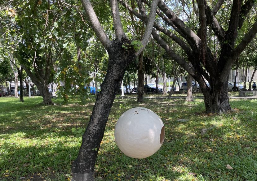 Vania Lin, Contemporary Art Summer School 2024