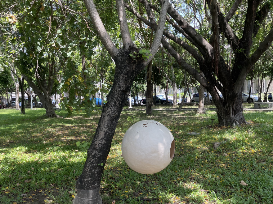 Vania Lin, Contemporary Art Summer School 2024