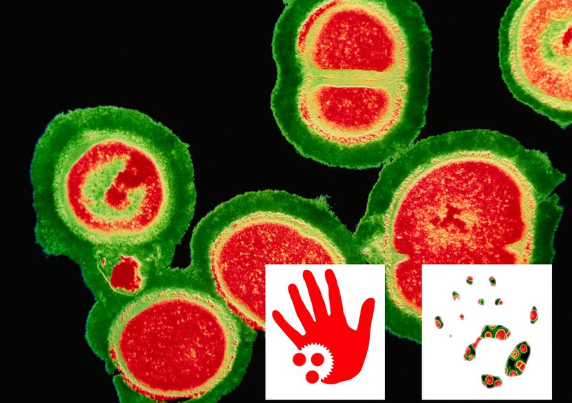 Visible Invisibilty: Contamination Aware Surfaces
