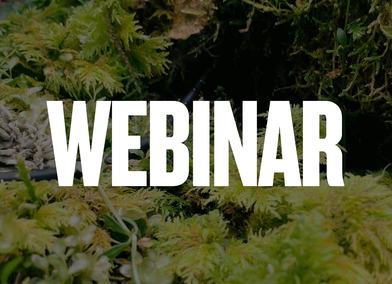 Webinar (3)