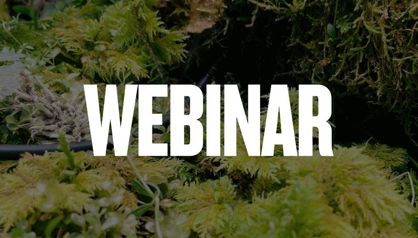 Webinar (3)