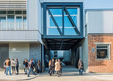 Woo Building, RCA Battersea