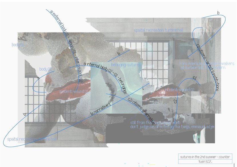 Sutures in the 2nd Summer, Ideation work in progress, 2022