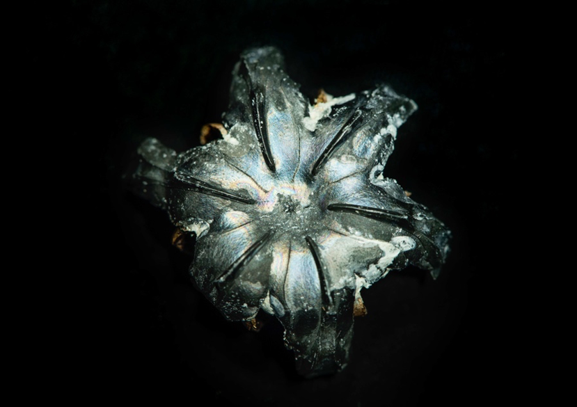 Original film stills produced during research at Cranfield University Forensics department, ‘Between the Bullet and the Hole’, 2015