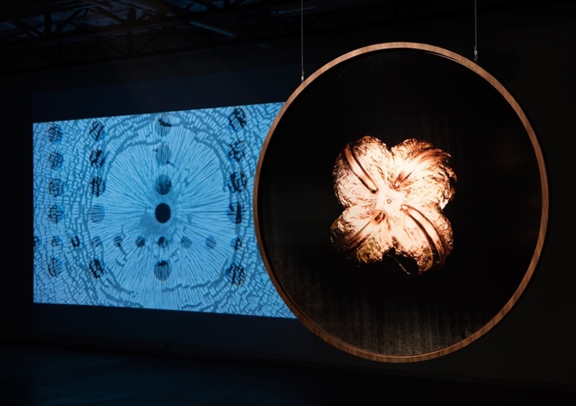 Installation views of 'Her Marks, a Measure', Dallas Contemporary, Dallas, 2016