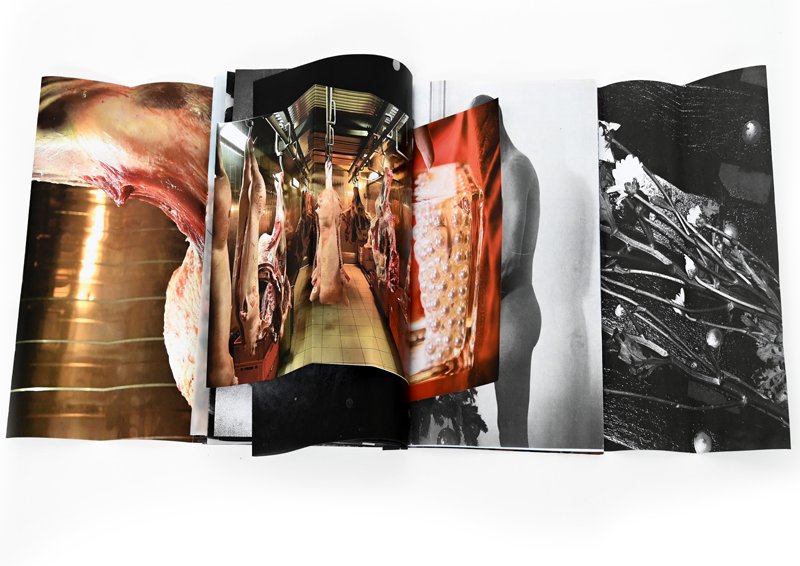 Collaborative publication by RCA Photo Students 2024