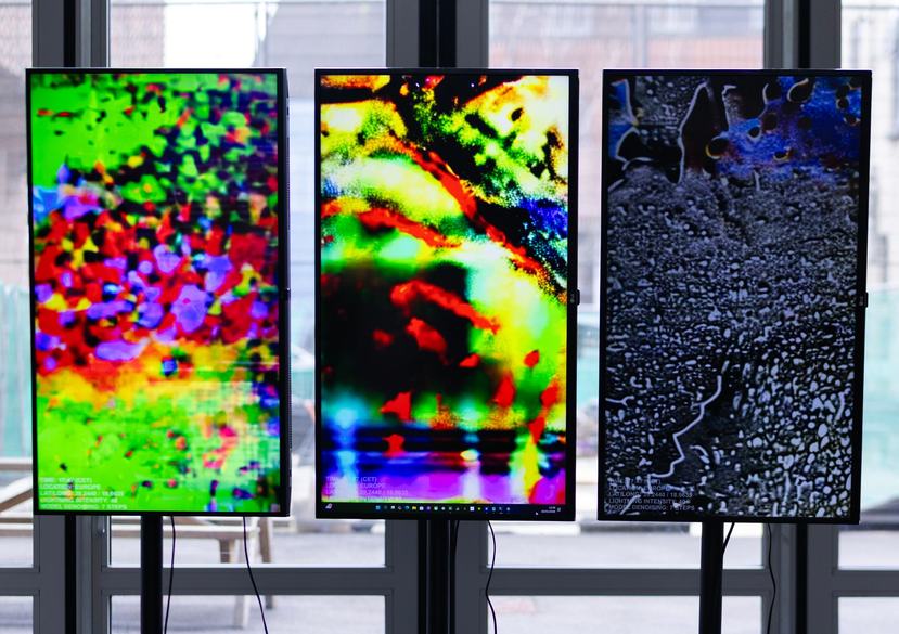 'Sensing' installation, Damien Roach (PhD, School of Arts & Humanities)
