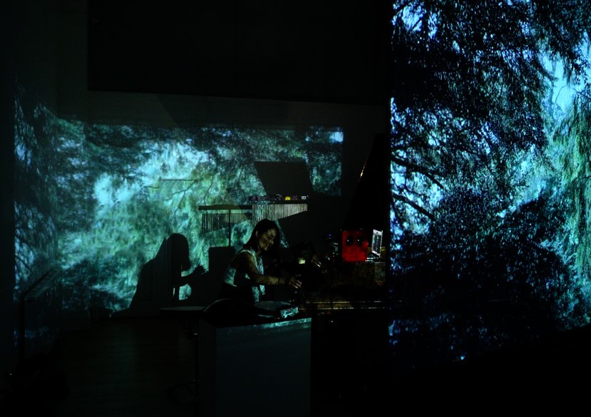 Serenade of the Woods