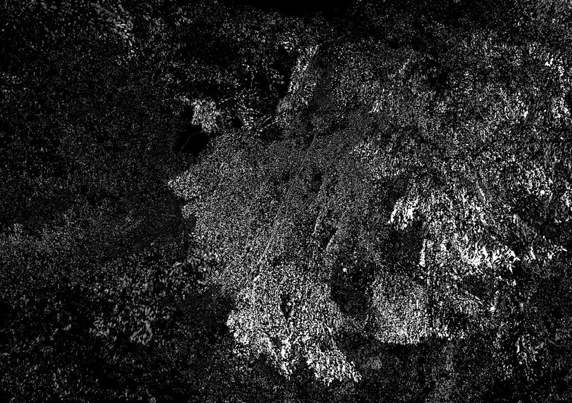 Serenade of the Woods (still)