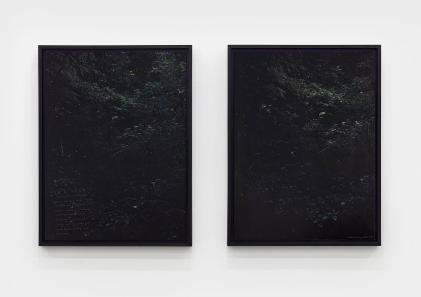 Learn to Fear, Because Fear is the Greatest Bond of All