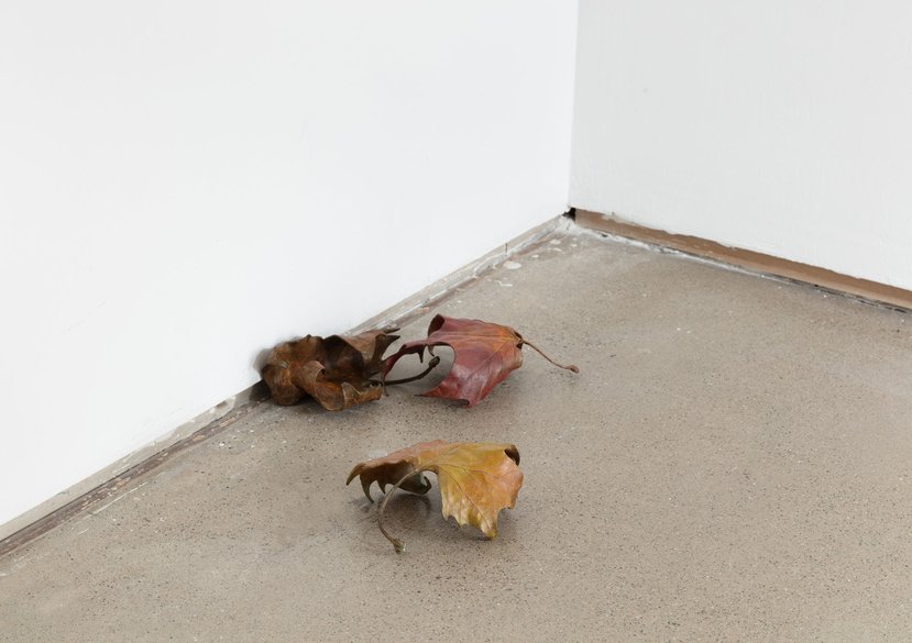 Extra Ordinary, 12 bronze casting of London Plane leaves