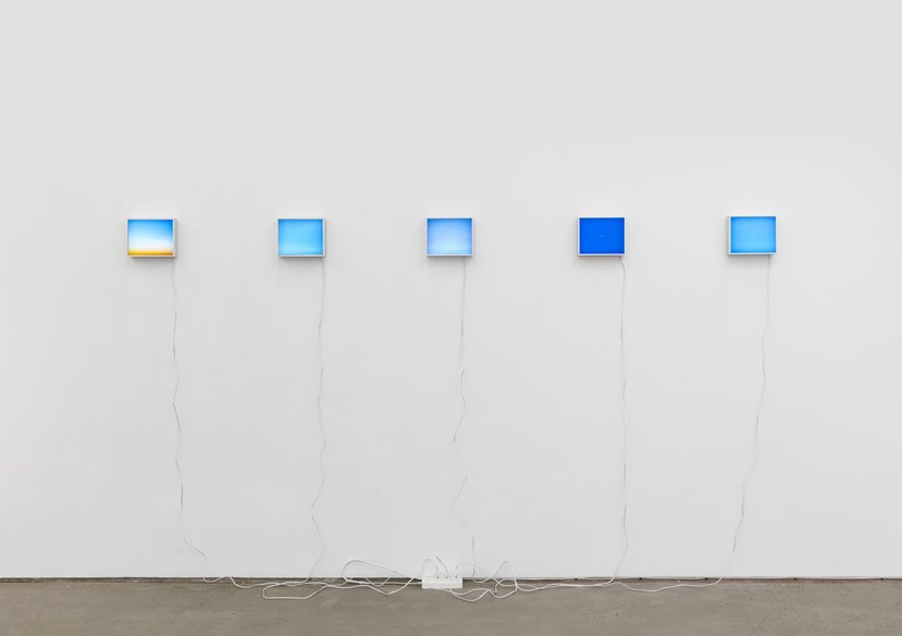 Wired Idleness, Durantran film on lightboxes