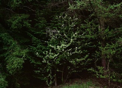 Karlikow, 67 houses, from the series 5128