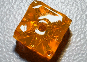 Printable hydrogels – bioprinting soft materials with living microorganisms