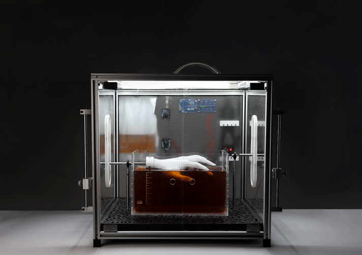 Hydra Bioreactor – Work alongside alumni Markos Georgiou, 3D growth of SCOBY on templates