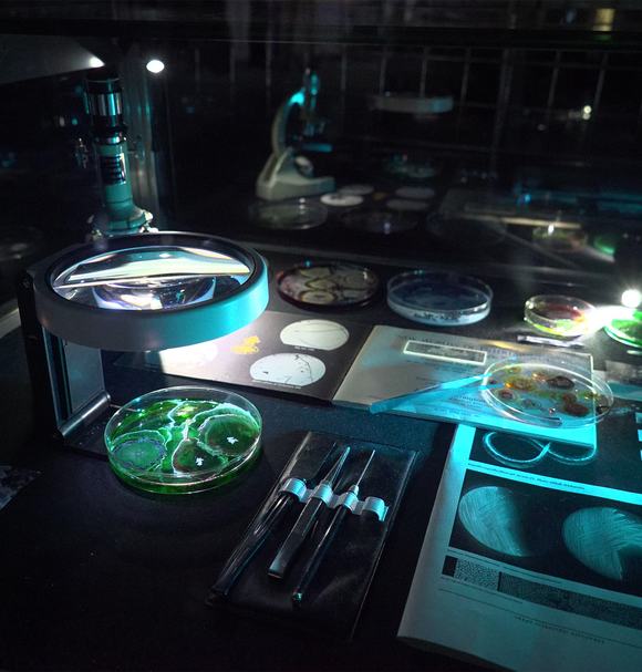 IED Post-Anthropocentric Design Lab (UN World Oceans Day 2022)