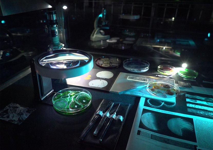 IED Post-Anthropocentric Design Lab (UN World Oceans Day 2022)