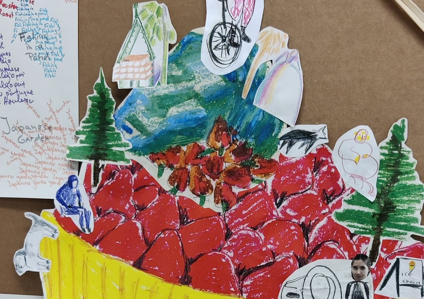 Walking Interview outcome