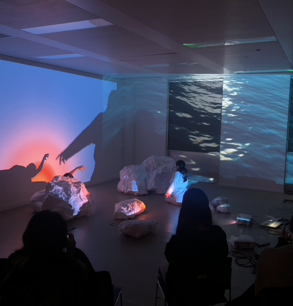 MA Information Experience Design Performance