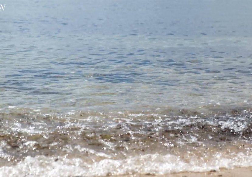 IS IT JOHN, film by Masha Mombelli, 6min, 2025 (part of a series LOST &FOUND)