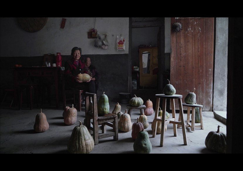 Ripple, Ripple, Rippling – Situated Imaginaries series, 2022