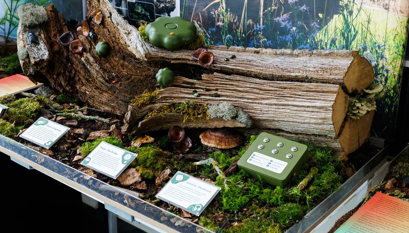 Project Ruru, by Zac Miller-Waugh - Innovation Design Engineering (MA/MsC)