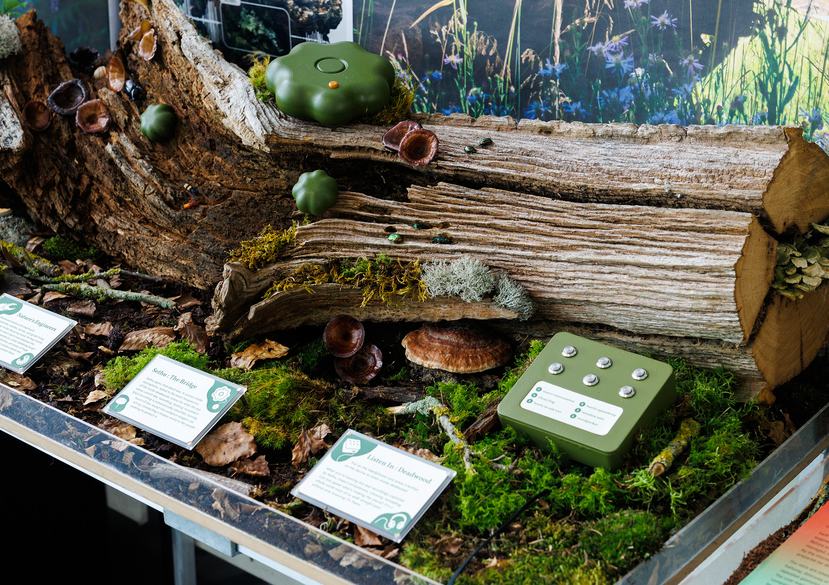 Project Ruru, by Zac Miller-Waugh - Innovation Design Engineering (MA/MsC)