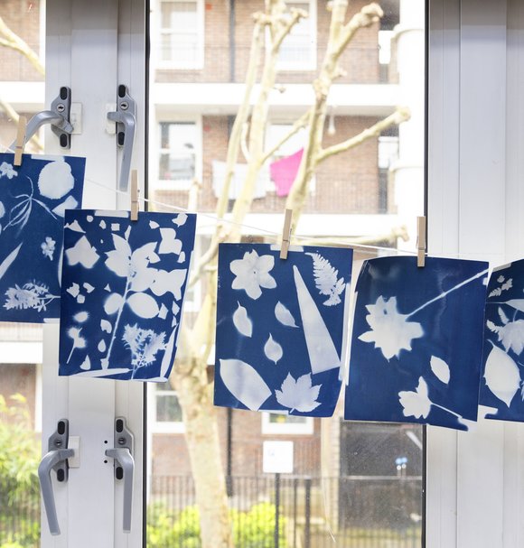 Cyanotype workshop at The Dalgarno Trust
