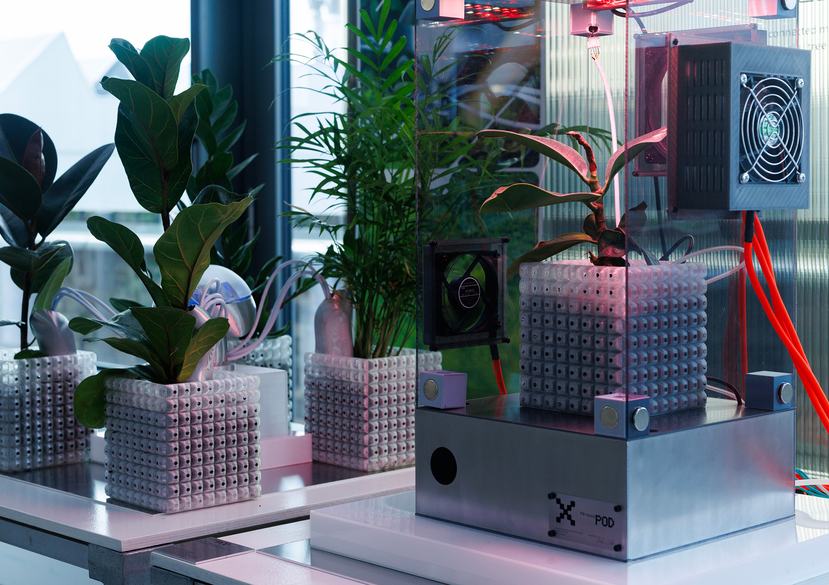 RhizoX, by Yuki Abe - Innovation Design Engineering (RCA2026)