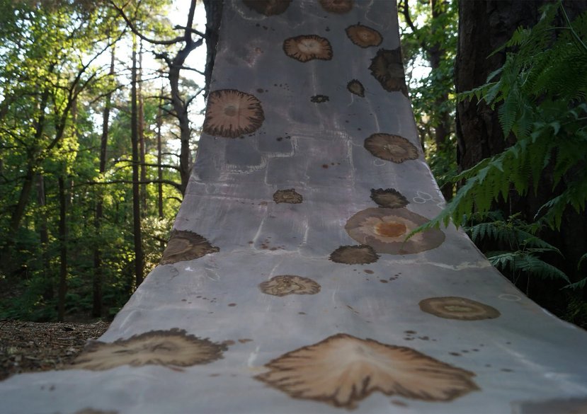 Laura Selby, Sonic Contamination, 2023